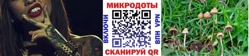 Купить  Выкса  Галлюциногенные грибы Psilocybe 