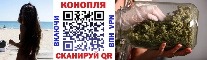 Бошки Шишки ГИДРОПОН Купить где Выкса